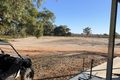 Property photo of 367 Log Bridge Road Wentworth NSW 2648