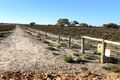 Property photo of 367 Log Bridge Road Wentworth NSW 2648