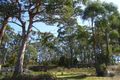 Property photo of 335A Bay Road Boomer Bay TAS 7177