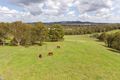 Property photo of 128 Woodlands Drive Thornlands QLD 4164