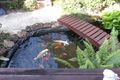 Property photo of 273 Manifold Road North Casino NSW 2470