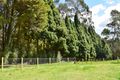 Property photo of 10 Myall Avenue Leura NSW 2780