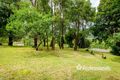 Property photo of 19 Andersons Avenue Warburton VIC 3799