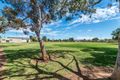 Property photo of 25 Neill Road Cowandilla SA 5033