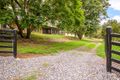 Property photo of 62 Horton Road Chatsworth QLD 4570