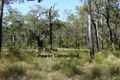 Property photo of 274 Mitchell Road Mount Maria QLD 4674