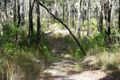 Property photo of 274 Mitchell Road Mount Maria QLD 4674