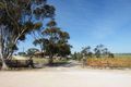 Property photo of 144 Paech Road Monarto SA 5254