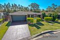 Property photo of 48 Macaranga Crescent Carseldine QLD 4034