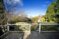 Property photo of 41 Selsdon Street Mount Victoria NSW 2786