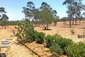 Property photo of 3 Carmichael Drive Adare QLD 4343