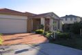 Property photo of 5 Sundew Court Aspendale Gardens VIC 3195
