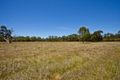 Property photo of 357 Woerdens Road Clarence Town NSW 2321