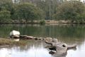 Property photo of 39 Streamside Street Woollamia NSW 2540