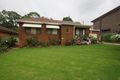 Property photo of 43 Tintern Avenue Telopea NSW 2117
