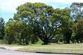 Property photo of 59 William Street Tighes Hill NSW 2297