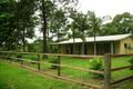 Property photo of 95 Eudlo Flats Road Diddillibah QLD 4559