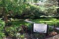 Property photo of 12A/44 View Street Chatswood NSW 2067