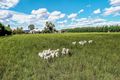 Property photo of 32 Carcoar Road Forest Reefs NSW 2798