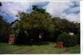 Property photo of 9 Derwent Street Upper Mount Gravatt QLD 4122