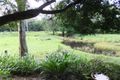 Property photo of 765 Kilcoy-Beerwah Road Cedarton QLD 4514