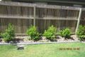 Property photo of 2/10 Babich Court Holmview QLD 4207
