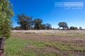 Property photo of 5 Churches Plain Road Uranquinty NSW 2652