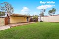 Property photo of 17 Graham Street Doonside NSW 2767