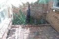 Property photo of 31 Oxford Close Sippy Downs QLD 4556
