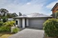 Property photo of 53 Woodline Drive Spring Mountain QLD 4300