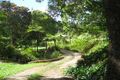 Property photo of 12 Beech Street Maleny QLD 4552