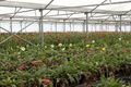 Property photo of 75 Fisheries Road Devon Meadows VIC 3977
