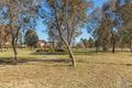 Property photo of 62 Tanami Street Harrison ACT 2914