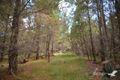 Property photo of LOT 86 Sunset Crescent Sugarloaf QLD 4380