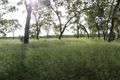 Property photo of 480 Airstrip Road Nebo QLD 4742