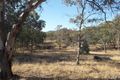 Property photo of 1392 Gulf Road Emmaville NSW 2371