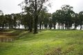 Property photo of LOT 201 Balbarrup Road Balbarrup WA 6258