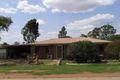 Property photo of 18 Aruma Drive Oakey QLD 4401