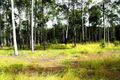 Property photo of 265 Nash Road Tamaree QLD 4570