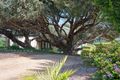 Property photo of 41 Lady Nelson Drive Sorrento VIC 3943