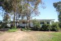 Property photo of 16 Eugene Avenue San Isidore NSW 2650