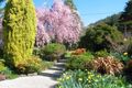 Property photo of 45 Hepburn Street McKellars Park NSW 2790