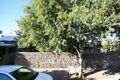 Property photo of 1/7A Nelson Street Fullarton SA 5063