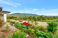 Property photo of 38 Roxborough Street Canungra QLD 4275