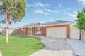 Property photo of 23 Delphinius Crescent Roxburgh Park VIC 3064