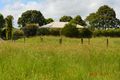 Property photo of 32 Transmitter Road Wooroolin QLD 4608