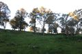 Property photo of LOT 3 Creek Street Cudal NSW 2864