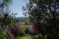 Property photo of 24 Landseer Street Castlemaine VIC 3450