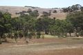 Property photo of 178 Wild Dog Creek Road Wattle Flat SA 5203