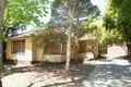 Property photo of 31 Winifred Street Nunawading VIC 3131